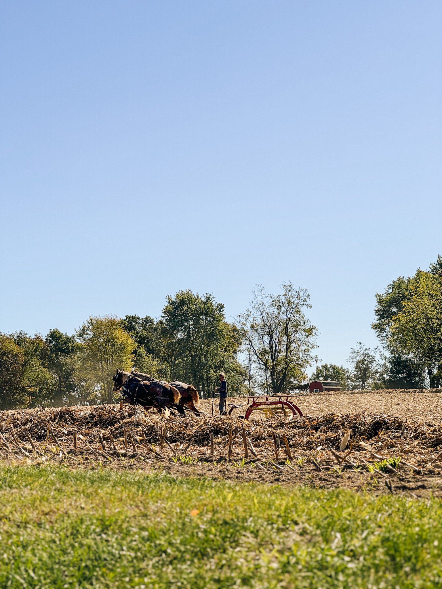 Crafting Captivating Headlines: Your awesome post title goes here